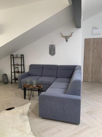 Studio Loft Apartment Suwalki Luaran gambar